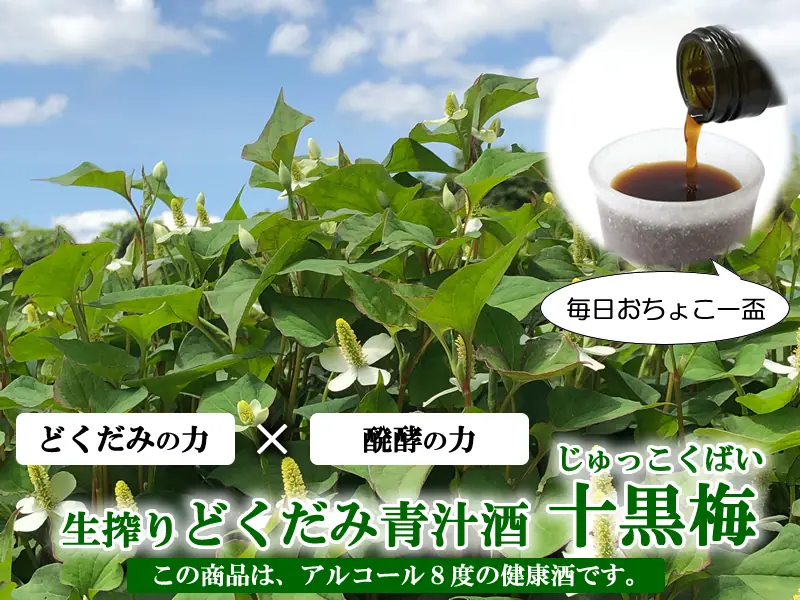 なぜ「生搾り」なのか？十黒梅のどくだみ抽出法と他社製品との違い
